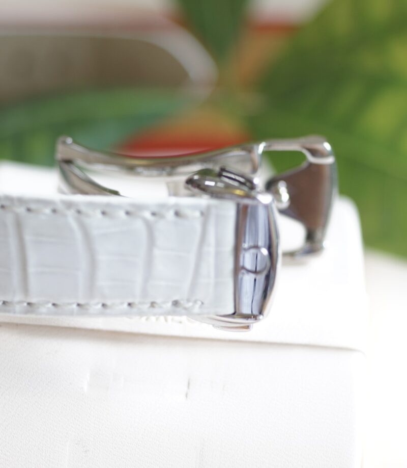 dong-ho-Omega-Seamaster-Aqua-Terra-150M-Co-Axial-cu-chinh-hang-day-da-mau-trang-2