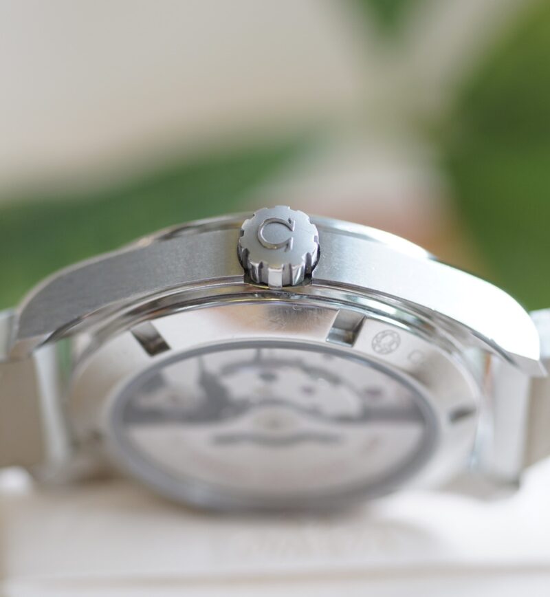 dong-ho-Omega-Seamaster-Aqua-Terra-150M-Co-Axial-cu-chinh-hang-day-da-mau-trang-9