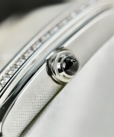 Patek Philippe Twenty~4 4910/10A-011