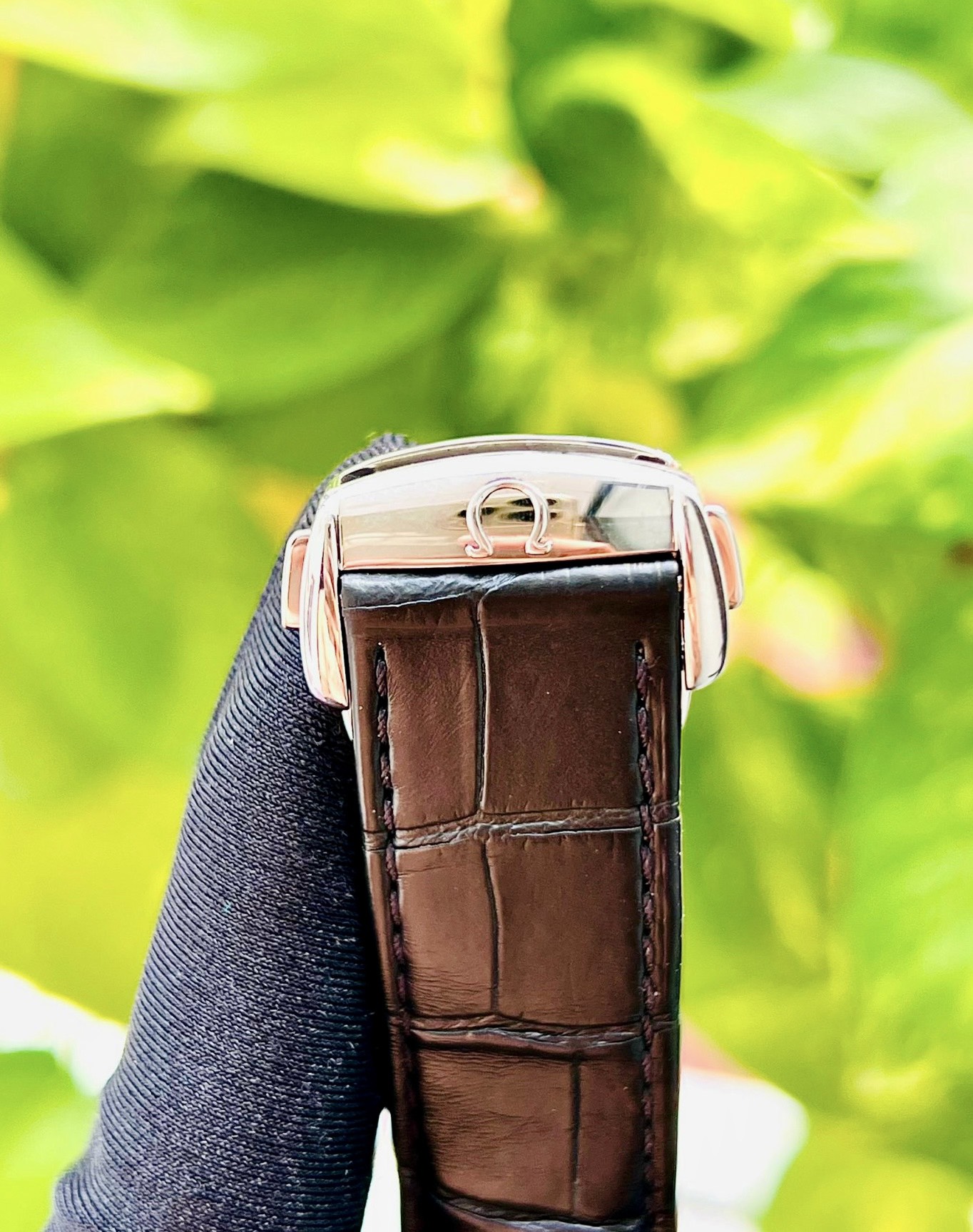 z4837494060908_6d8ca07f9de26c94087716dcc4b06d9c Đồng Hồ Omega De Ville Co-Axial Chronometer 8500 Black Dial 431.13.41.21.01.001 Cũ
