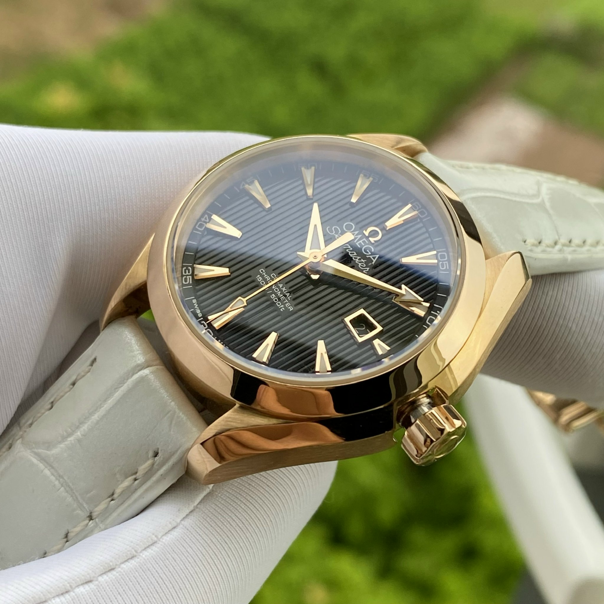 z4841654474915_589f86bd4ff33a7aa93f14841b166e7c Đồng Hồ Omega Aqua Terra 150m Master Co-Axial Soild Gold 18k 231.53.34.20.01.002 Cũ