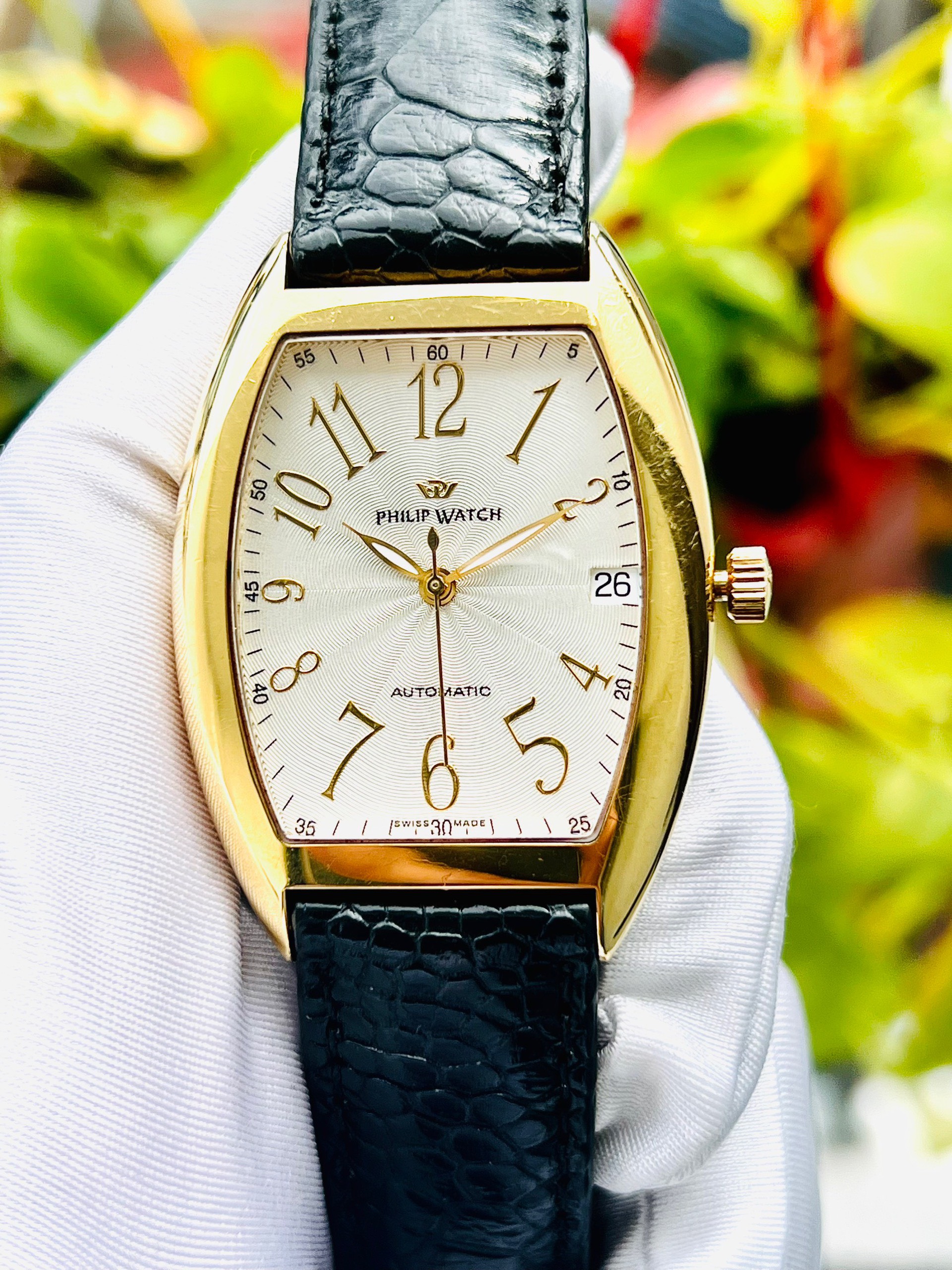z5086350908905_48f13ca09897f763a14cb9e00b9b398d Đồng Hồ Philip Watch Thuỵ Sỹ máy automatic Cũ