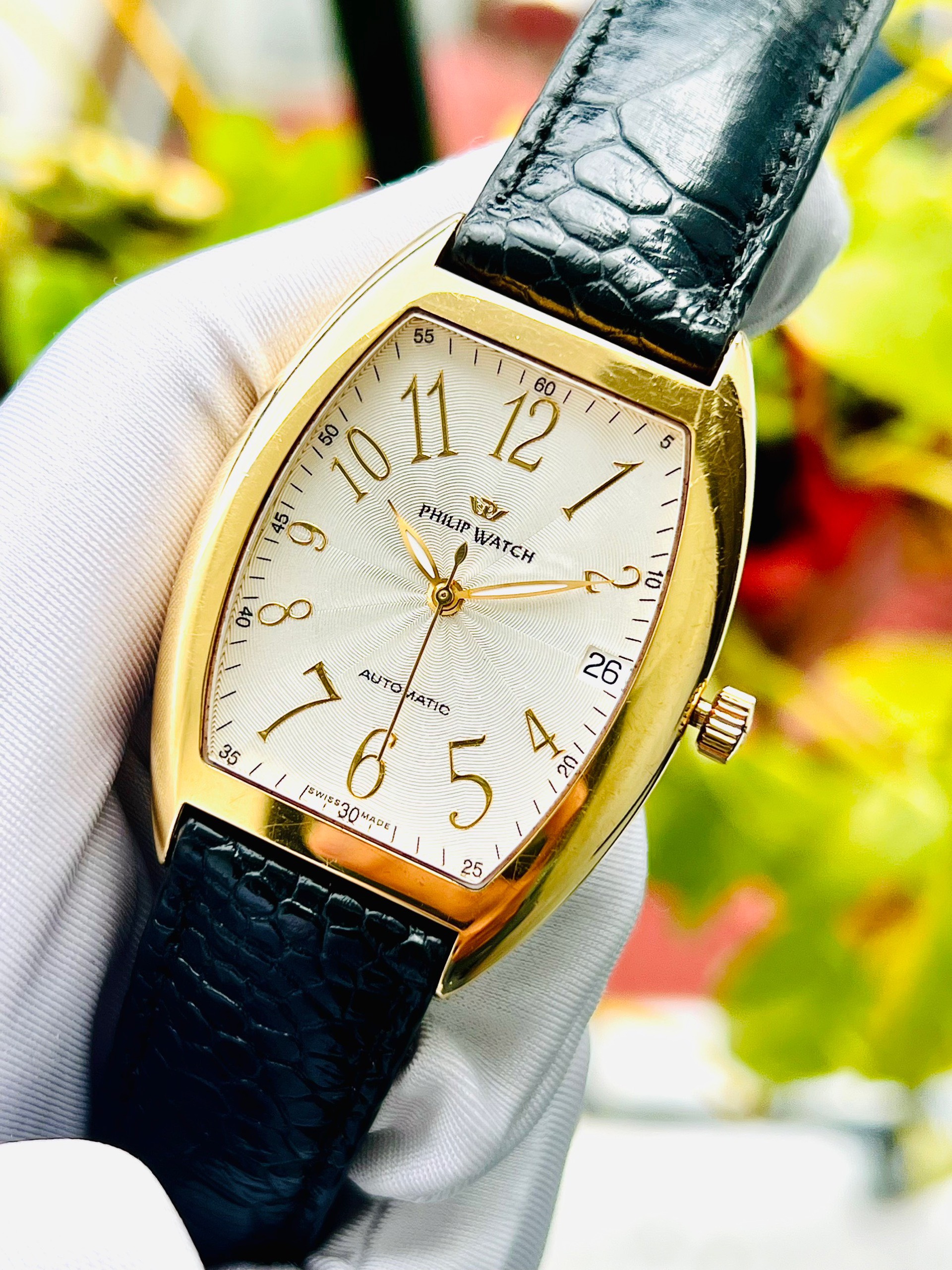 z5086350911890_ffc3d3efe36b0ddcc9f98ddfdabf1855 Đồng Hồ Philip Watch Thuỵ Sỹ máy automatic Cũ