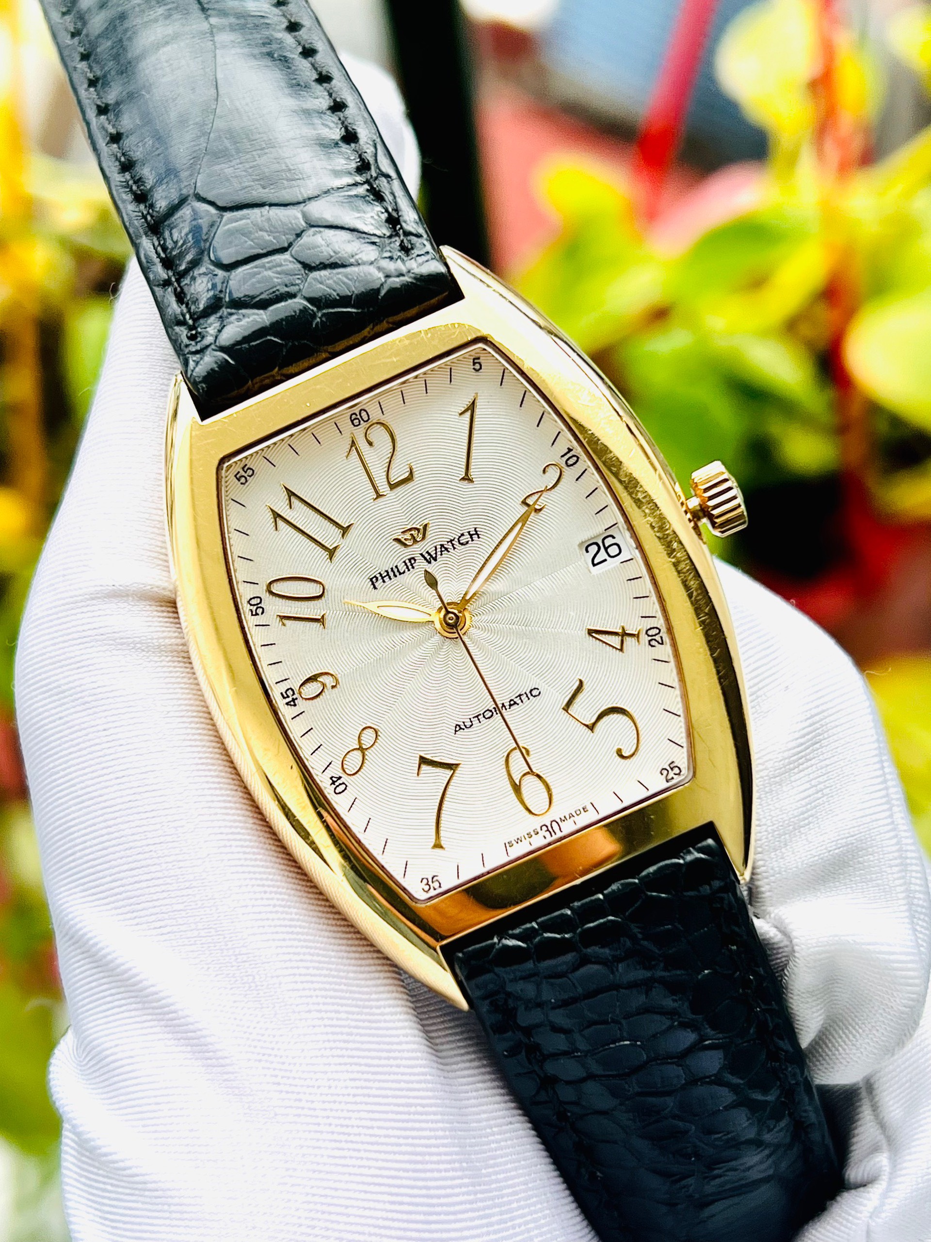 z5086350920036_99542daa2eb4e0ec0405940d20a71aae Đồng Hồ Philip Watch Thuỵ Sỹ máy automatic Cũ