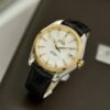 Đồng Hồ Omega Seamaster Aqua Terra Chronometer 231.23.39.21.55.002 Cũ
