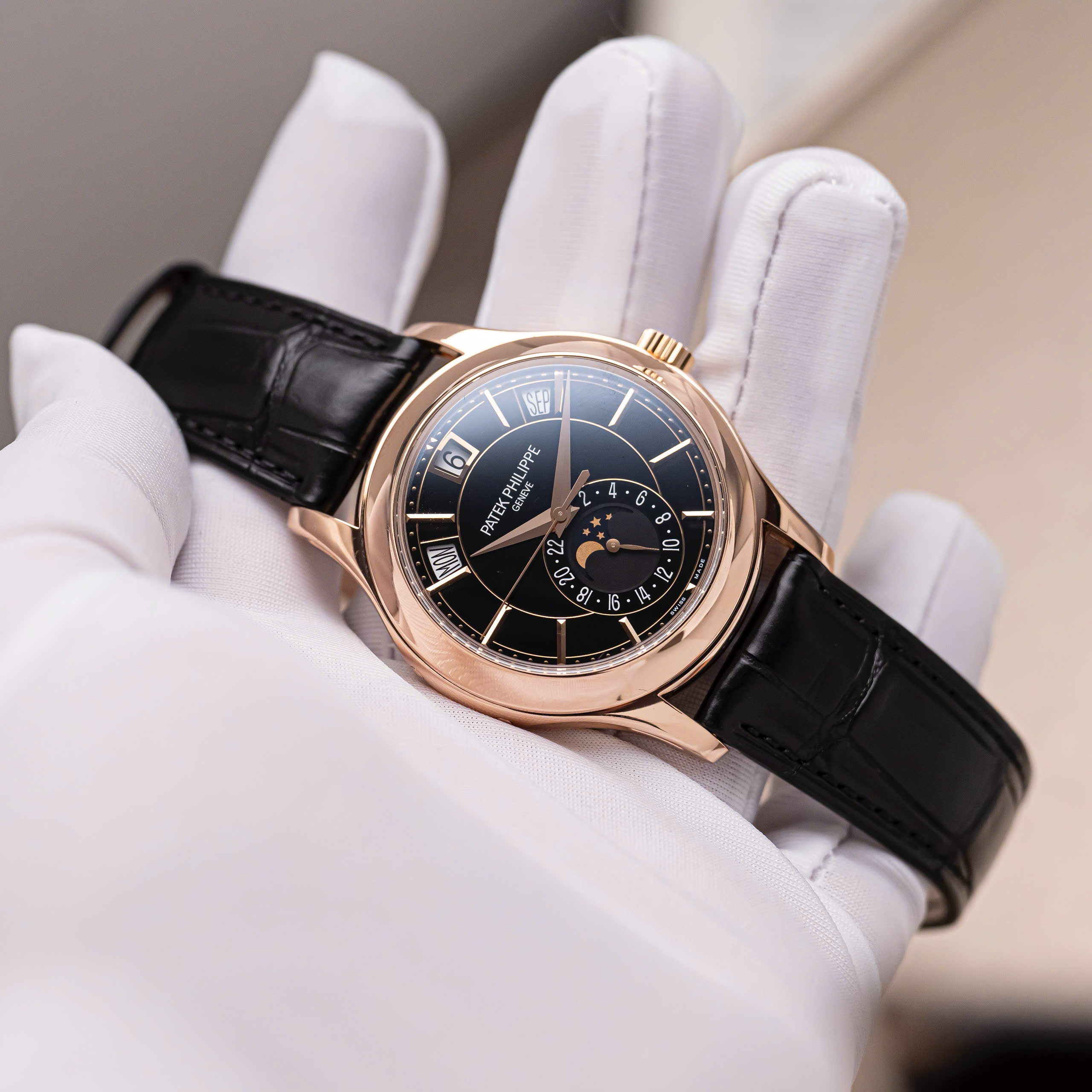 Patek Philippe Complications (10) Patek Philippe Complications