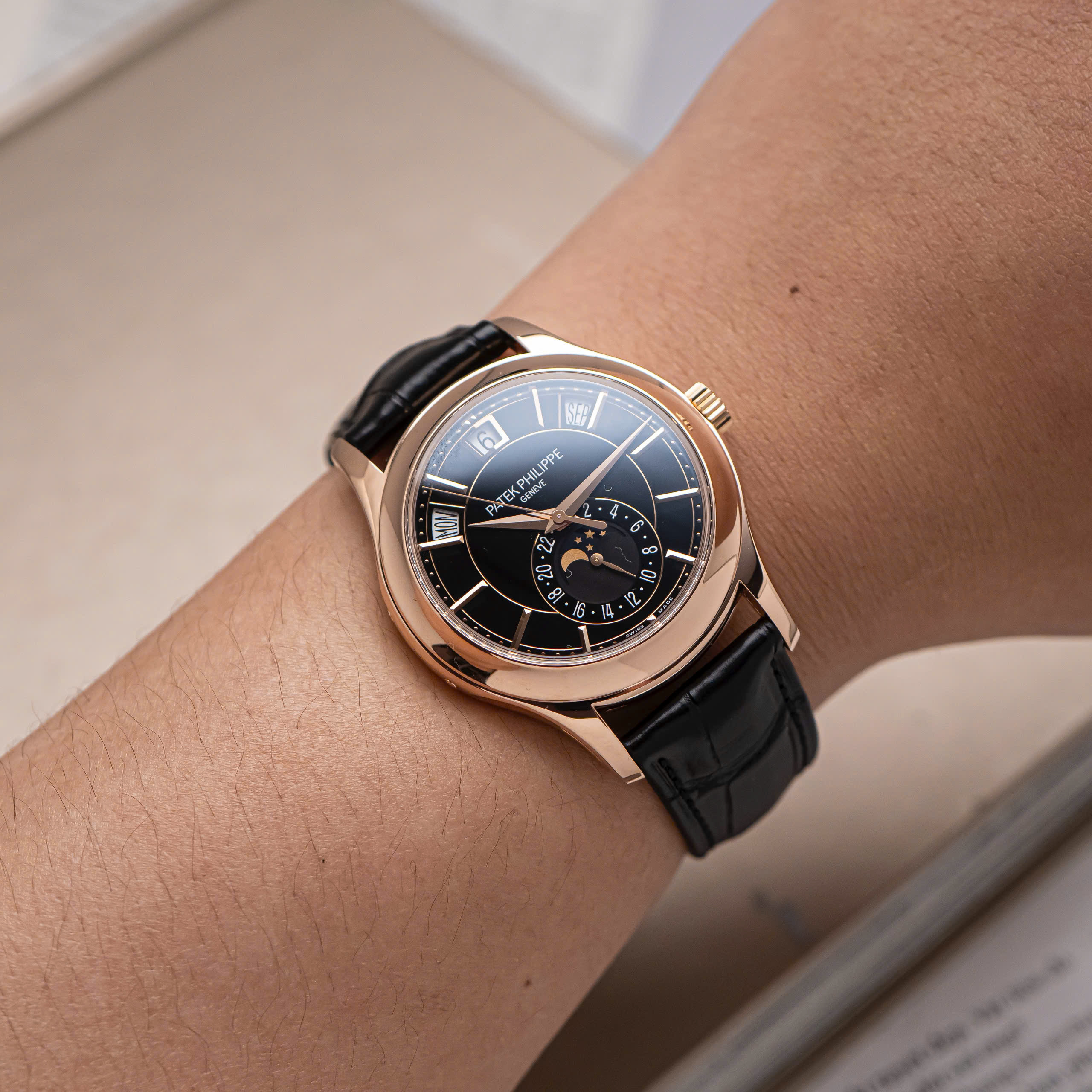 Patek Philippe Complications (6) Patek Philippe Complications