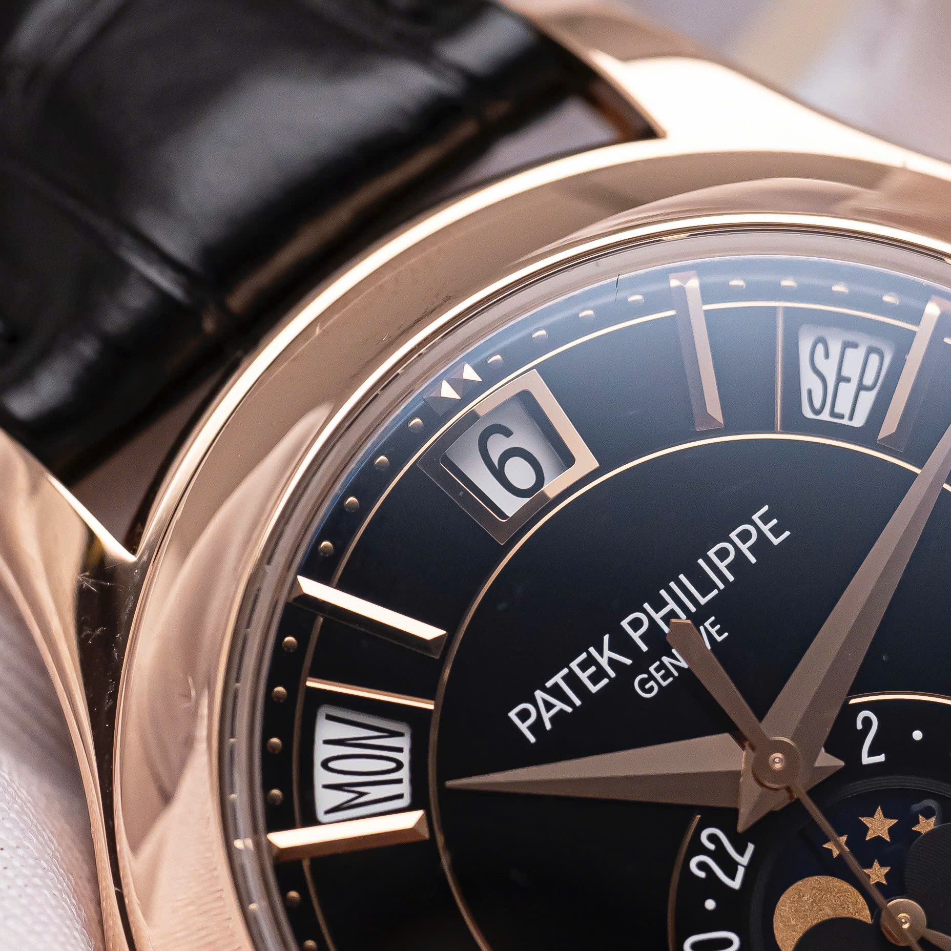 Patek Philippe Complications (8) Patek Philippe Complications