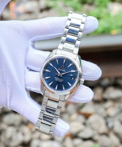 Omega Seamaster Aqua Terra 231.10.39.21.03.001