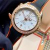 Omega Seamaster Planet Ocean