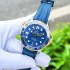 Omega Seamaster 300 Co-Axial 210.22.42.20.03.001