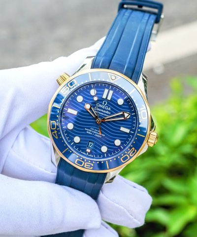 Omega Seamaster 300 Co-Axial 210.22.42.20.03.001