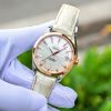 Omega Seamaster Midsize 231.23.39.21.55.001