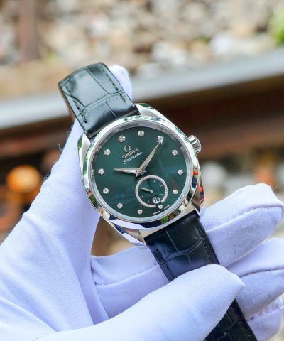 Omega Seamaster Aqua terra 220.13.38.20.60.001