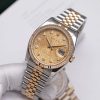 Rolex Datejust 36mm 116233