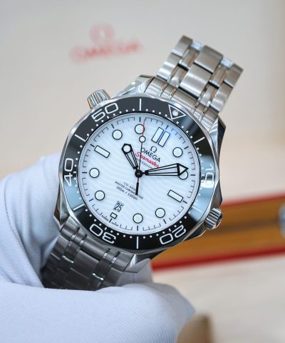 Omega Seamaster Professional 210.30.42.20.04.001