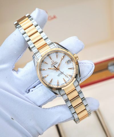 Omega Aqua Terra Seamaster 231.20.39.21.55.001