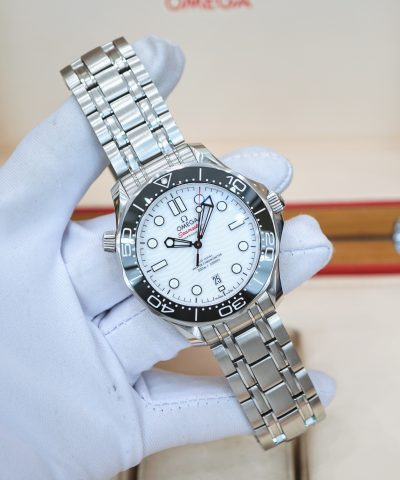 Omega Seamaster Professional 210.30.42.20.04.001