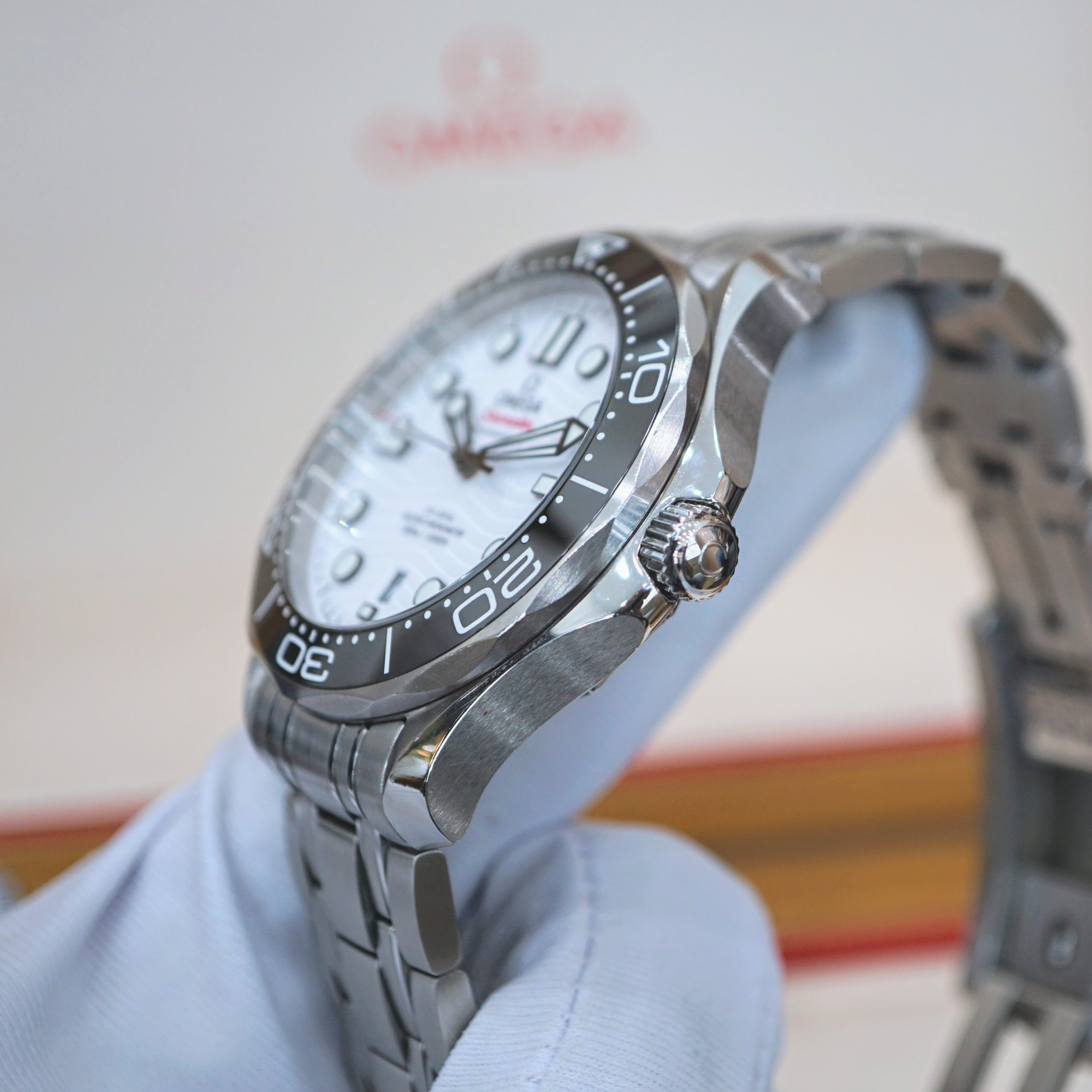 Omega Seamaster Professional 210.30.42.20.04.001 Omega Seamaster Professional 210.30.42.20.04.001