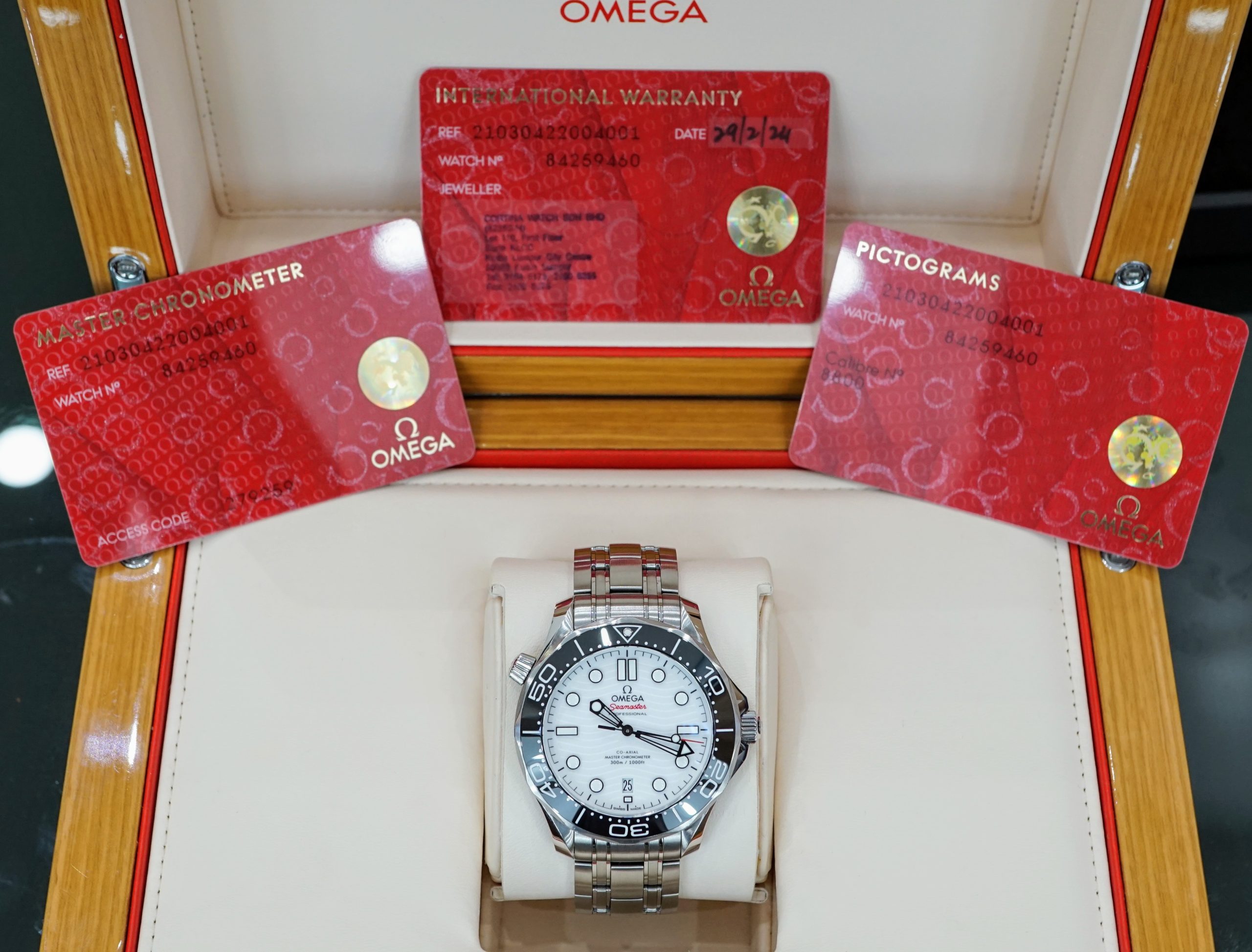 Omega Seamaster Professional 210.30.42.20.04.001 Omega Seamaster Professional 210.30.42.20.04.001