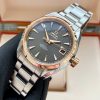 Omega Seamaster Aqua Terra 18k 231.20.39.21.06.003