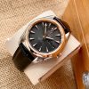Omega Seamaster Aqua Terra 231.23.39.22.06.001