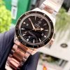Đồng hồ Omega Seamaster 300 Master 233.20.41.21.01.001