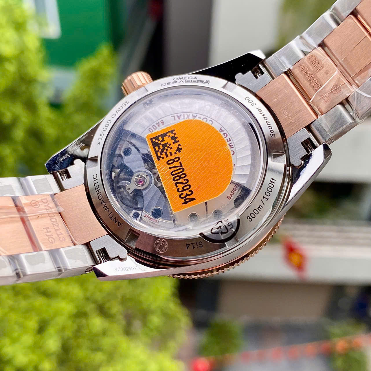 Đồng hồ Omega Seamaster 300 Master 233.20.41.21.01.001 Đồng hồ Omega Seamaster 300 Master 233.20.41.21.01.001