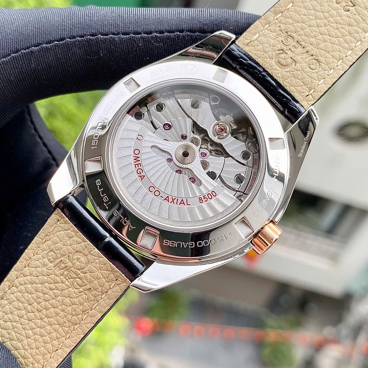 6 Đồng hồ Omega Seamaster Aqua Terra Master 231.23.42.21.06.003 Cũ